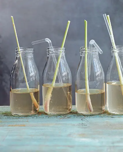 LEMONGRASS KOMBUCHA