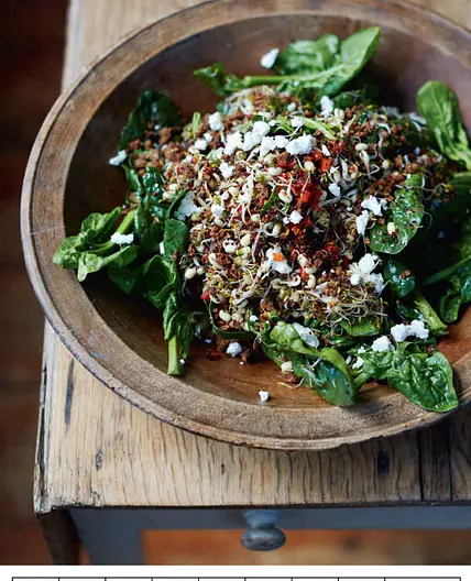 SPROUTING SEED SALAD