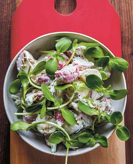 Radishes with Tonnato, Sunflower Seeds, and Lemon