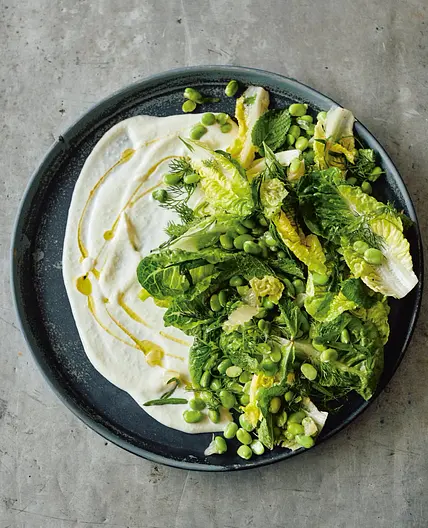 Fava bean and herb salad with toum