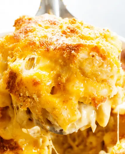 Tuna Casserole with Creamy Mushroom Sauce