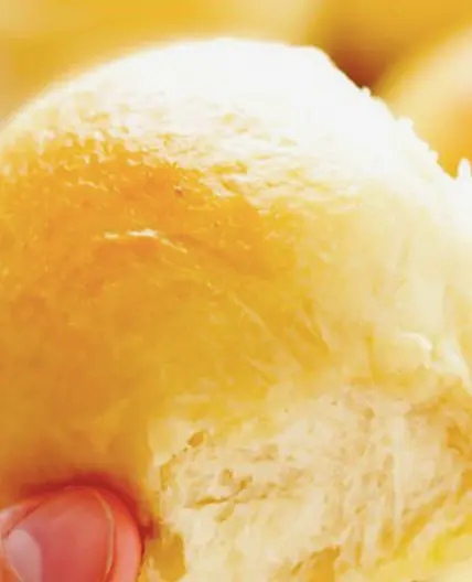 Great-Grandma Halverson's Rolls