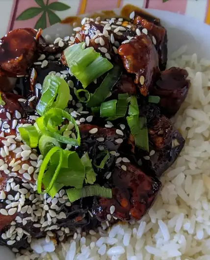Tofu Teriyaki with Rice