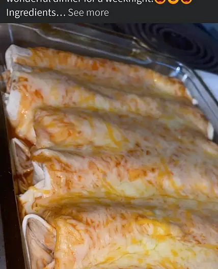 Cream cheese chicken enchiladas