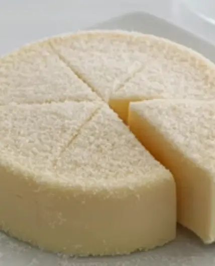 Pastel de leche (sin harina y sin horno)