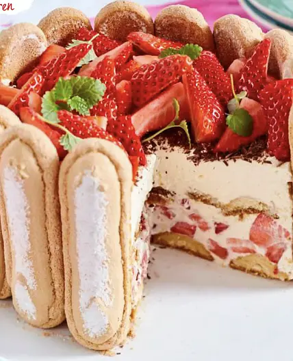 Tiramisu-Charlotte