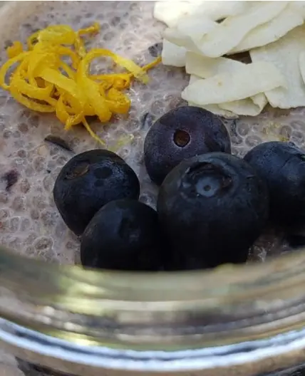 Blueberry Chia Seed Pudding