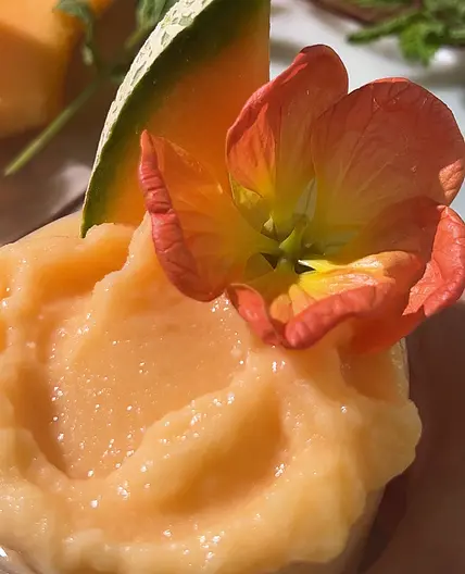 Cantaloupe Coconut Cooler