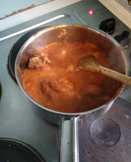 Mexican Style Mole