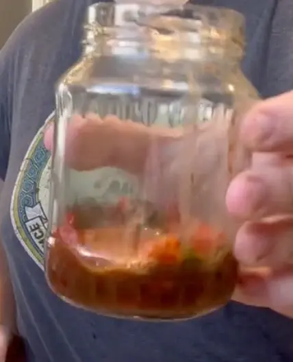 Strawberry Top Vinaigrette