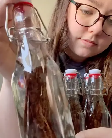 Homemade Vanilla Extract