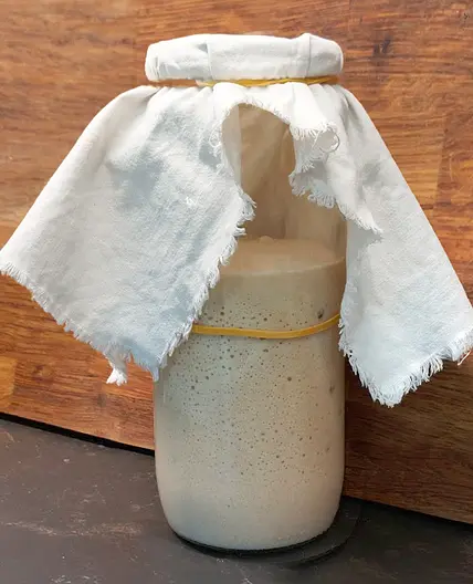 1/ Glutenvrije zuurdesem - starter & voorfermentatie