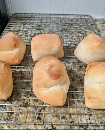 Copycat Texas Roadhouse Rolls