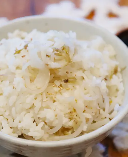 숙주 무밥 물 많이 넣지 마세요. 콩나물 무밥 보다 맛있어요.
