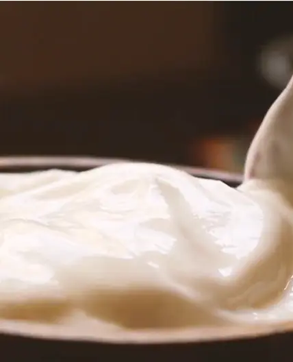 Homemade Avocado Mayo