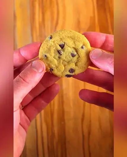Chips Ahoy Chewy Chocolate Chip Cookie