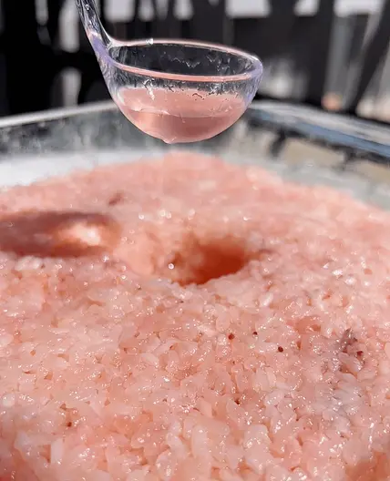 Strawberry Sweet Rice Wine (Strawberry Jiu Niang)