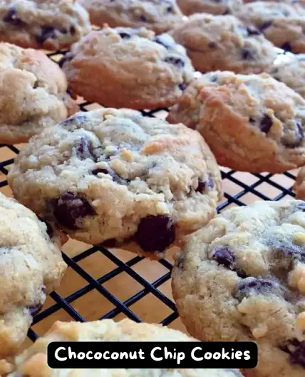 The Best Chococonut Chip Cookies