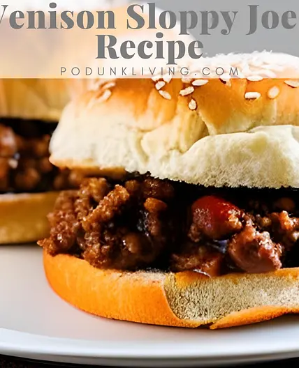 Venison Sloppy Joes