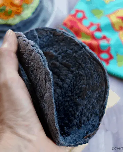 1-Ingredient Black Bean Tortillas {Grain-Free, Vegan}