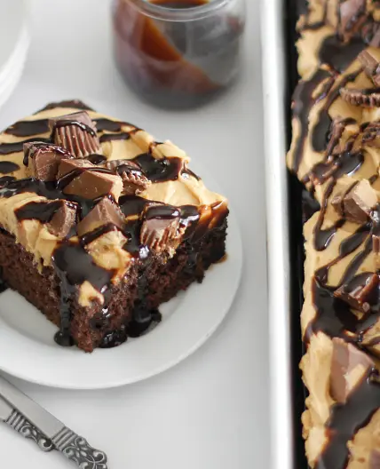 Peanut Butter-Chocolate Poke Cake