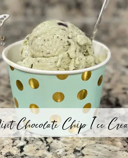 Mint Chocolate Chip Ice Cream