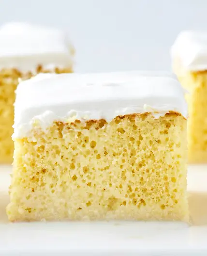 Tres Leches Cake