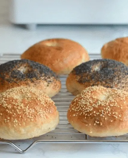 Bread Machine Bagels