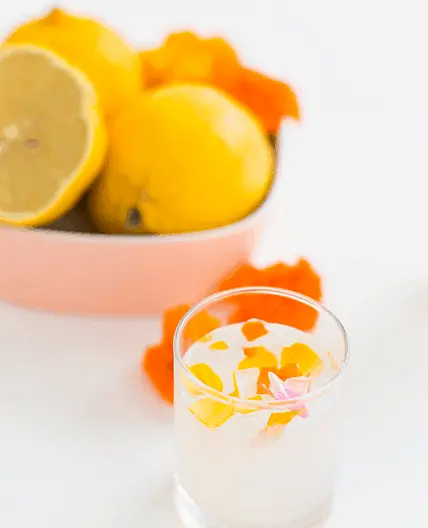 Edible Flower Lemon Jello Shots Recipe