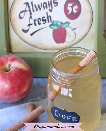 Homemade Hot Apple Cider