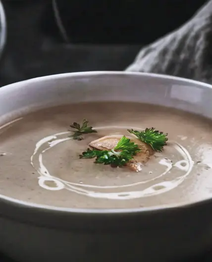 Quick 5 Minutes Dried Porcini Mushroom Soup