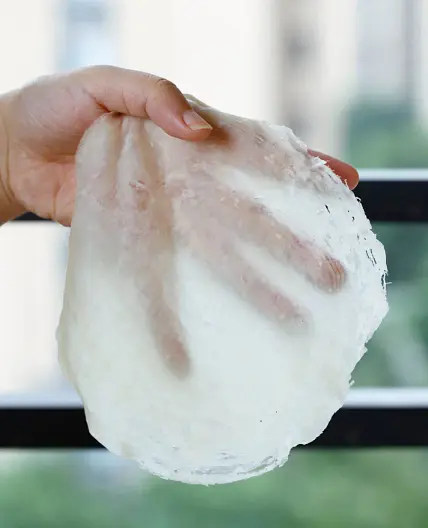 Easy Spring Roll Wrappers