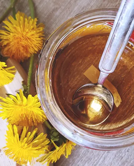 Make a Dandelion Honey: A vegan-friendly delight