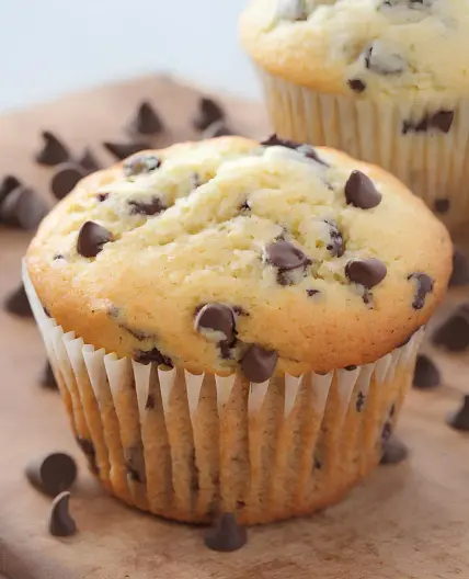 Chocolate Chip Muffins