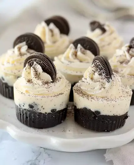 Mini Oreo Cheesecake