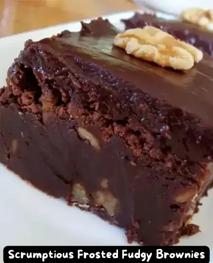 The Best Scrumptious Frosted Fudgy Brownies