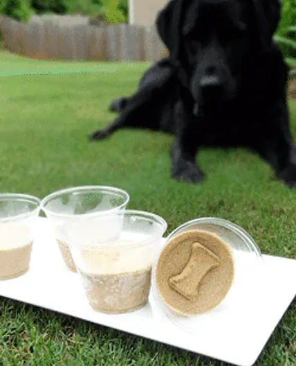 2 Ingredient Frozen Peanut Butter Banana Dog Treats