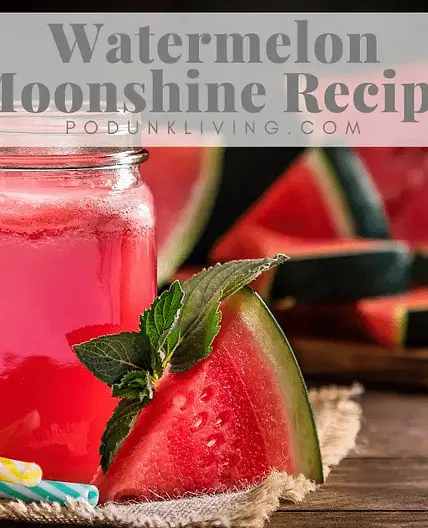 Best Watermelon Wine Recipe