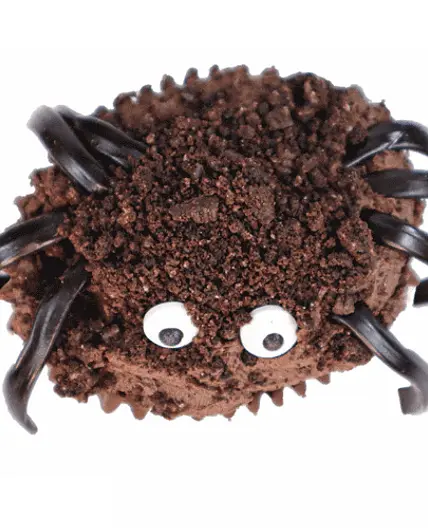 Spider Cupcakes