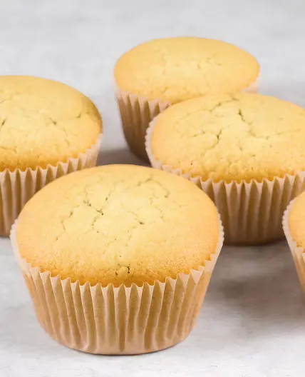 Basic Cupcake Recipe