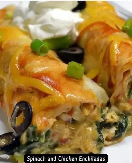 The Best Spinach and Chicken Enchiladas Recipe