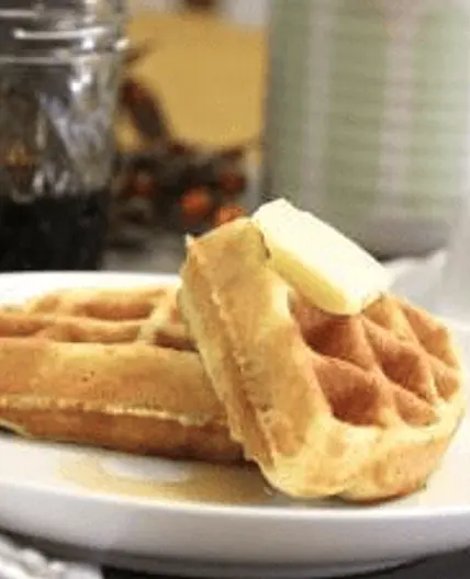 Coconut Flour Waffles