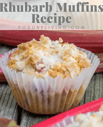 Rhubarb Muffins