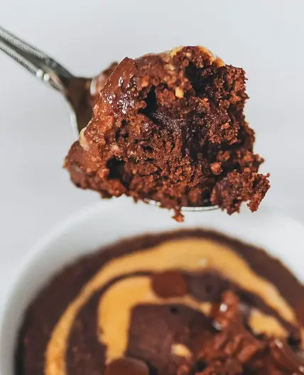 Vegan Chocolate Mug Cake