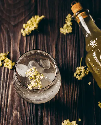 Elderflower Fizz Mocktail