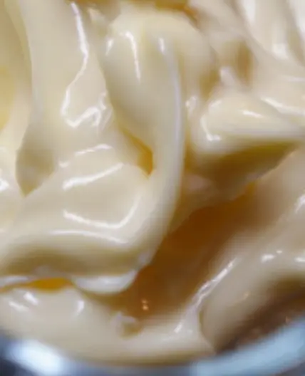 Egg-Free Mayonnaise
