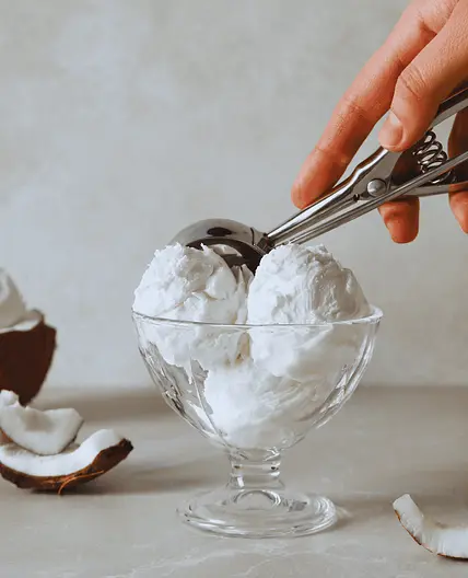 Easy 3-ingredient Coconut Ice Cream