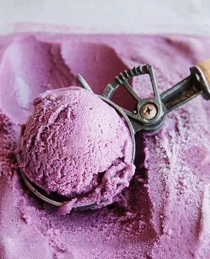 Vegan Blueberry Coconut Ice Cream
