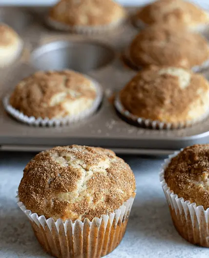 Invisible Apple Muffins Recipe | Lunch Box Snack