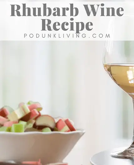 Homemade Rhubarb Wine Recipe